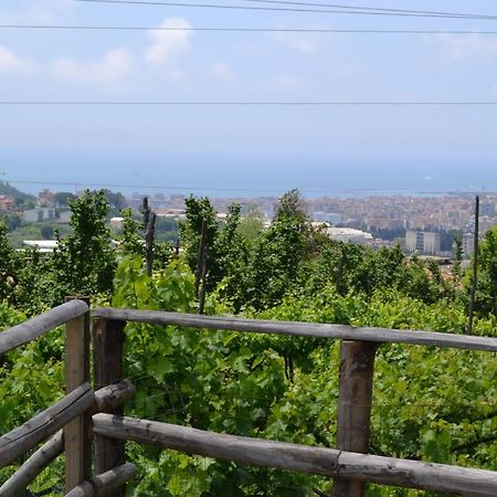 B&B Green Valley Salerno Zewnętrze zdjęcie
