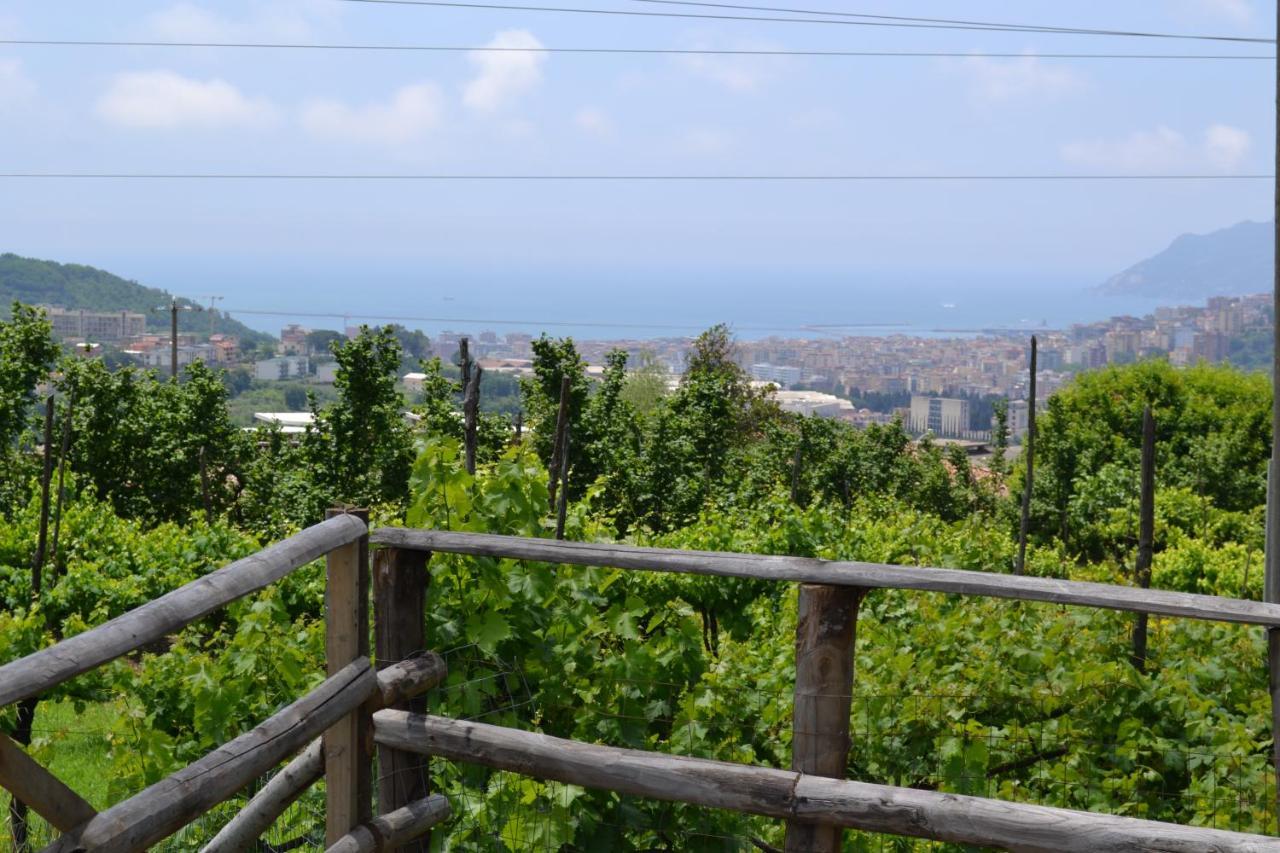 B&B Green Valley Salerno Zewnętrze zdjęcie