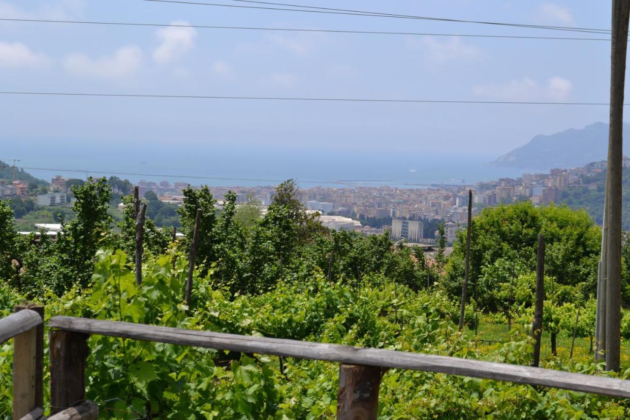 B&B Green Valley Salerno Zewnętrze zdjęcie